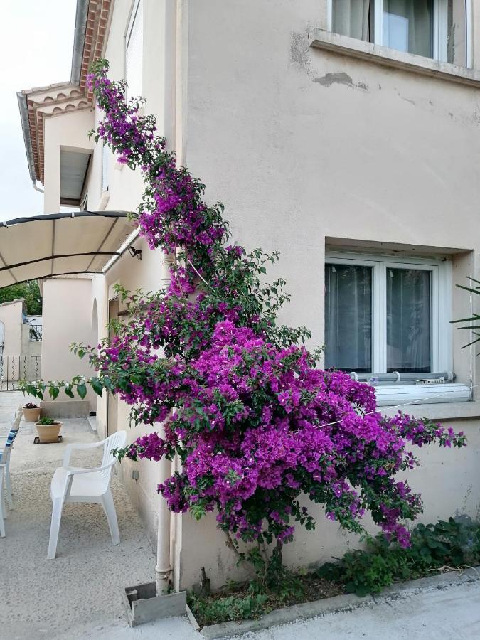 La Maison De 6Fran Appartement 2 Chaleureux Et Calme Ambiance Familiale Valros Exterior photo